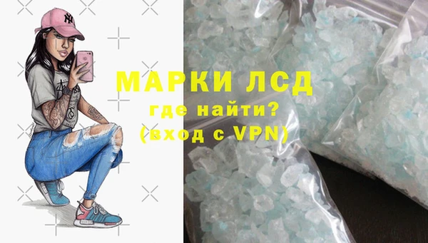 spice Аркадак