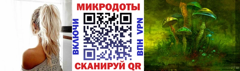 Псилоцибиновые грибы мицелий Куса